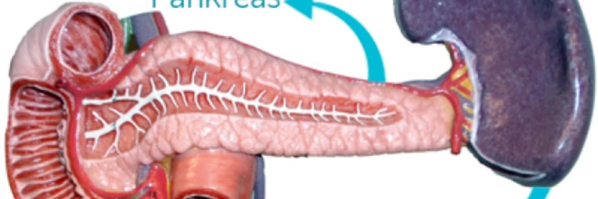Açıq və qapalı cərrahiyyə ilə dalağın çıxarılması: Prosedurlar, Risklər və Bərpa Prosesi