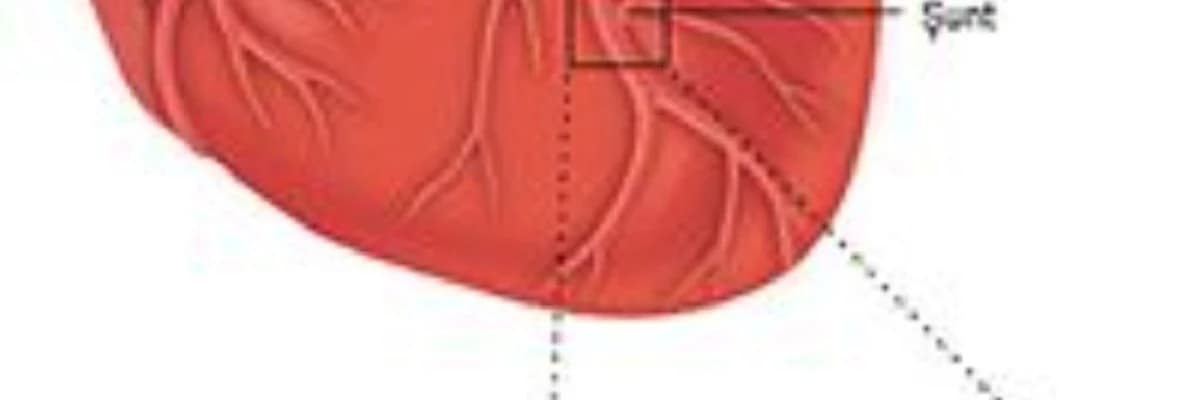 Koronar Arter Bypass Grafting (CABG) Əməliyyatı: Ürək Damarlarının Bypass Edilməsi