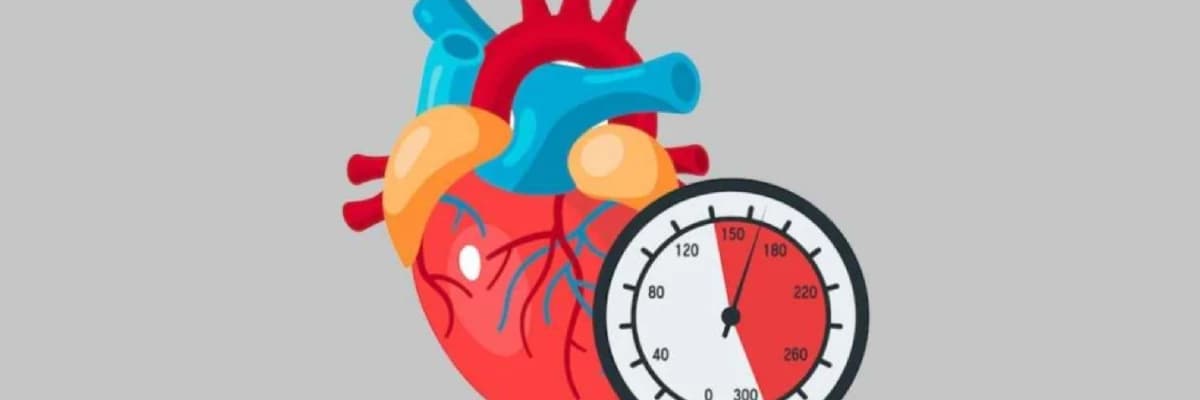 Yüksək Tənzimlilik (Hiperternsiya): Sağlamlıq Təhlilatı