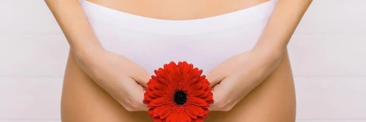Genital estetik nədir?