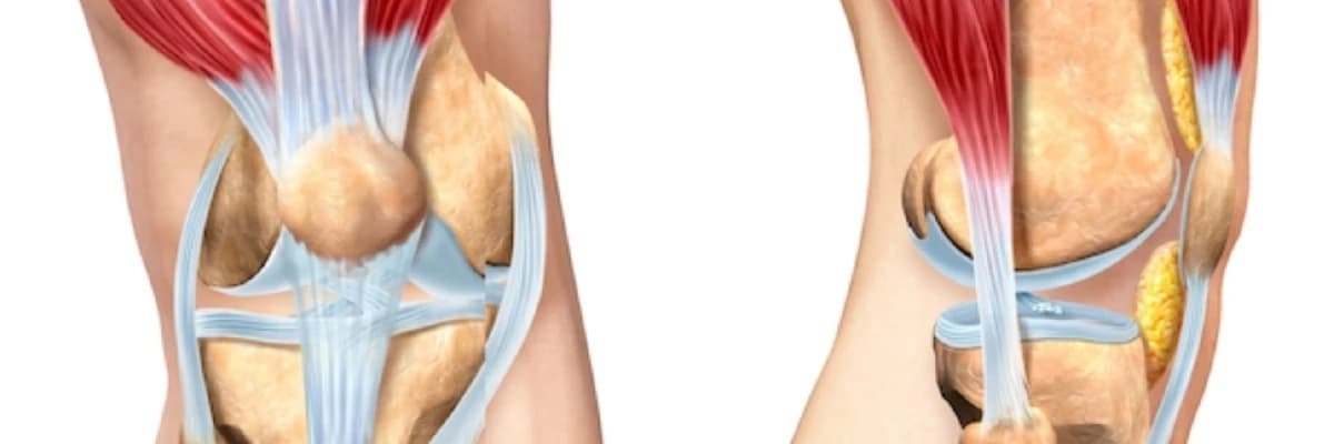 Diz oynağında ağrılar