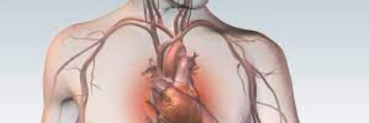 Koronar Arter Xəstəliyi (KAX)