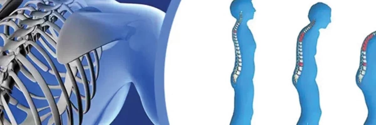Osteoporozun risk faktorları