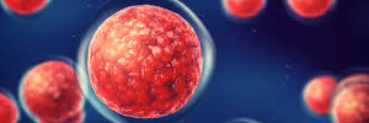 Xərçəng üçün risk faktorları: xərçəngin səbəbləri və qarşısının alınması