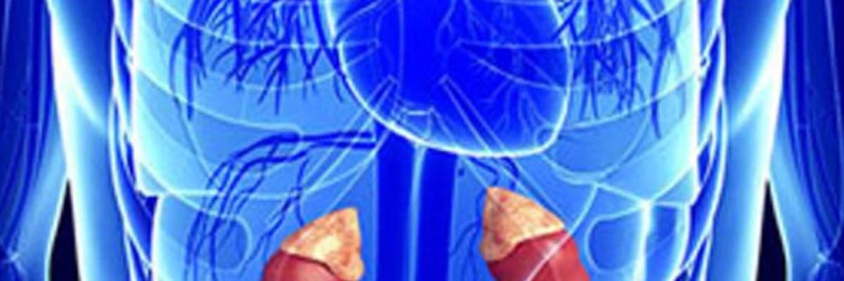 Feoxromositoma haqqında melumat