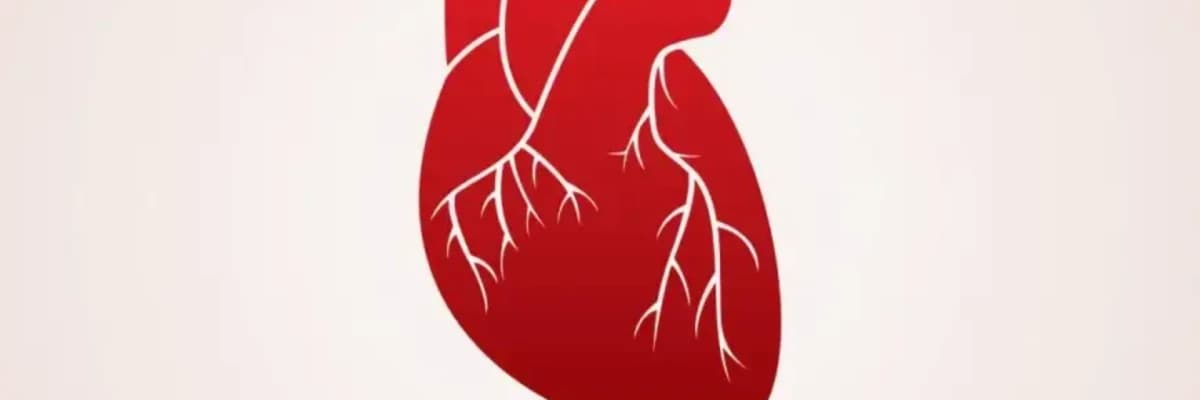 Koronar Arteriya Xəstəliyi