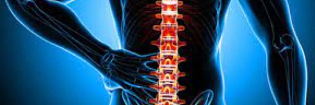 Osteoporoz (sümük əriməsi)