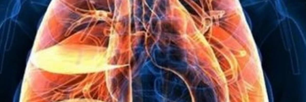 Ağciyər kistaları və müalicəsi