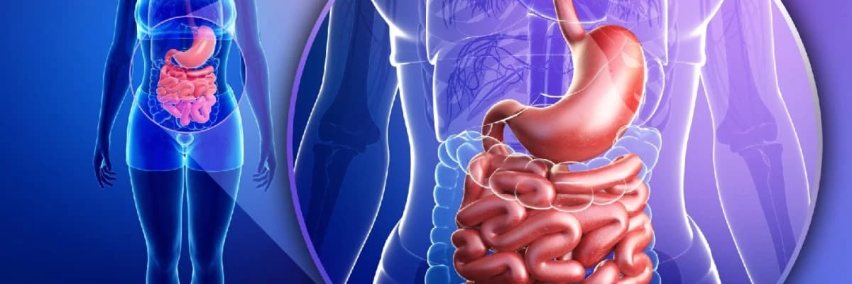 Həzm sistemində yad cisimlər