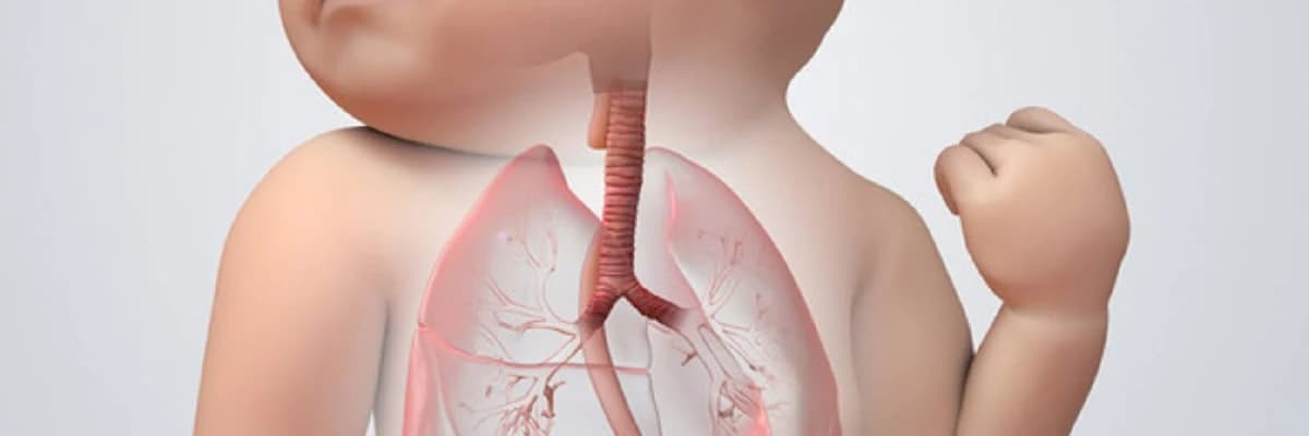 Qida borusunun atreziyası