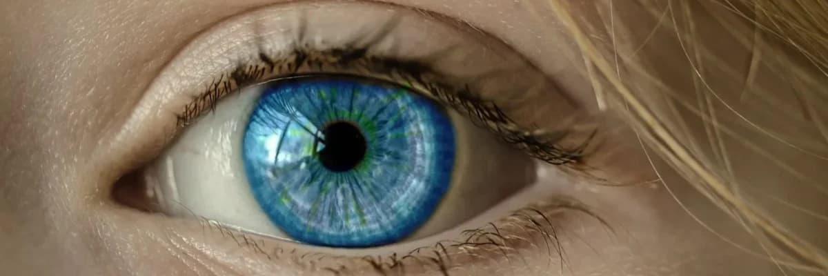Ağıllı Lens Tətbiqi