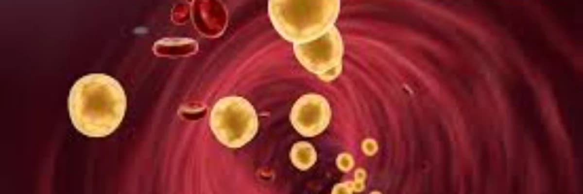 Yağ metabolizması ilə əlaqəli pozğunluqlar
