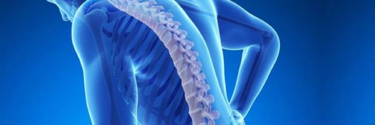 Sümük əriməsi (OSTEOPOROZ)