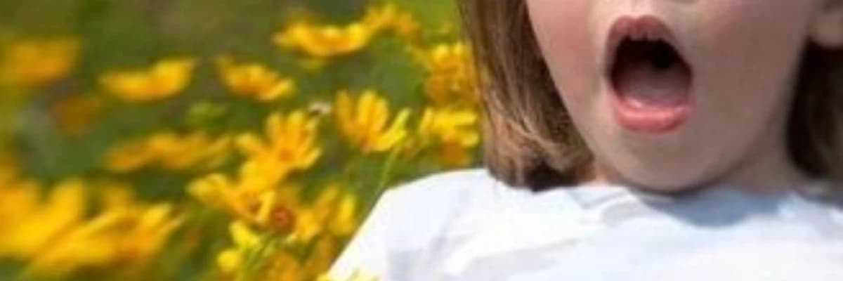 Allergik rinit haqqında