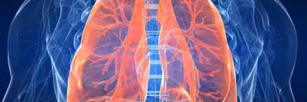 Ağciyər zarları xərçənginin cərrahiyəsi (Mezotelyoma)