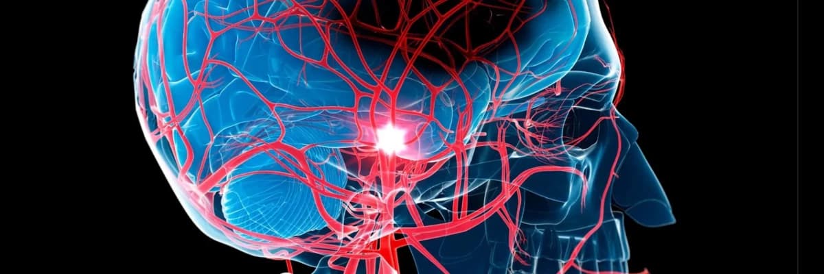 Üzün sümük və yumşaq toxumalarının travmaları