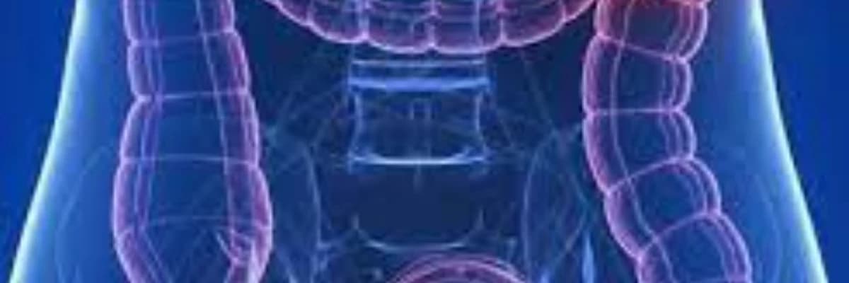 Cenber Xercengi: Daxili Orqanlarınızın Sirli Düşməni