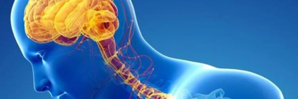 Parkinson xəstəliyi və digər hərəkət pozğunluqları