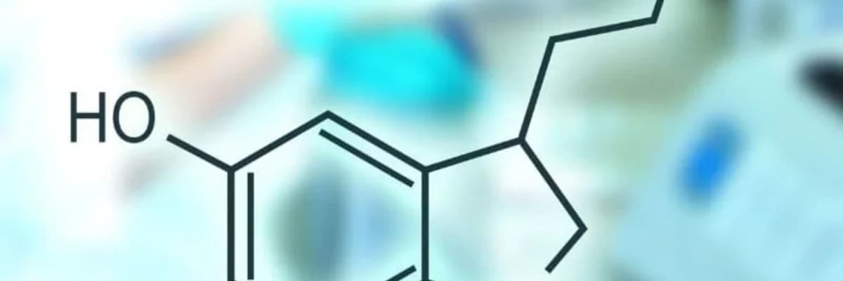 Serotonin Nədir? Serotonin Nə Üçün Vacibdir?