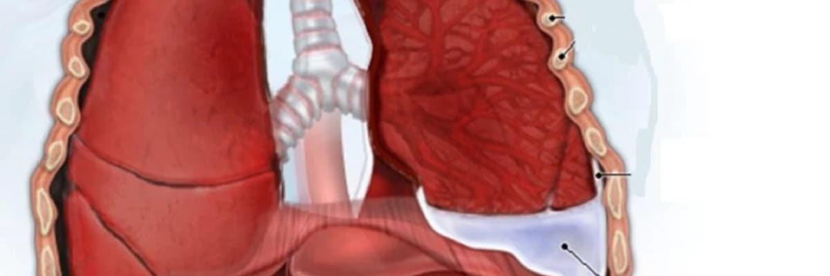 Ağciyərlərə su yığılması haqqında