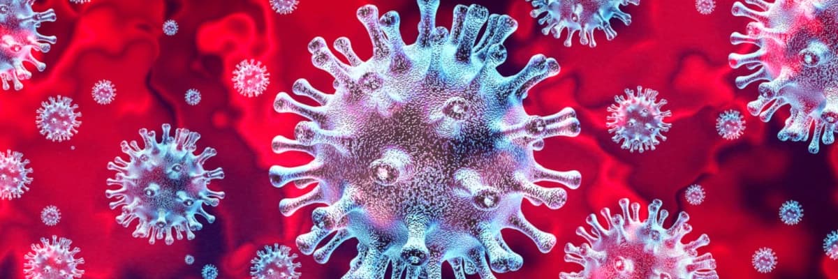 COVID-19 nədir? Semptomlar, profilaktika üsulları və müalicə variantları haqqında ən son məlumatlar