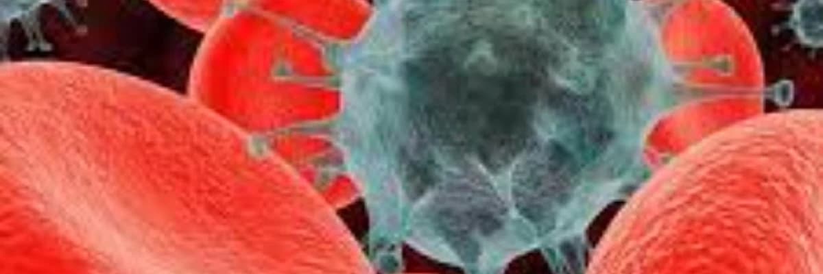 Mieloproliferativ xəstəliklər