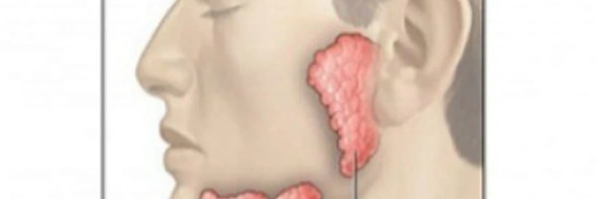 Tiroid və Tüpürcək vəzi Cərrahiyyəsi