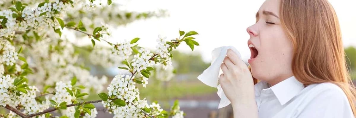 Allergik rinit nədir?