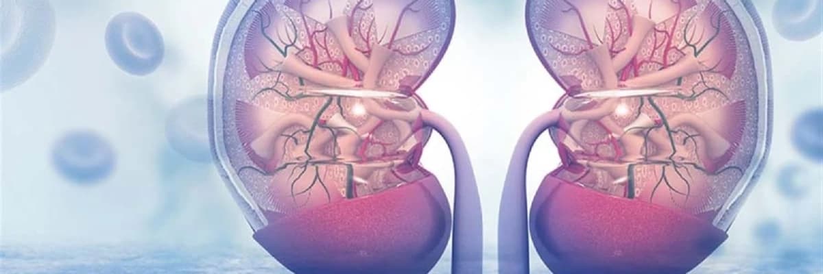 Böyrək Transplantasiyası: Proses, Səbəblər və Nəticələr