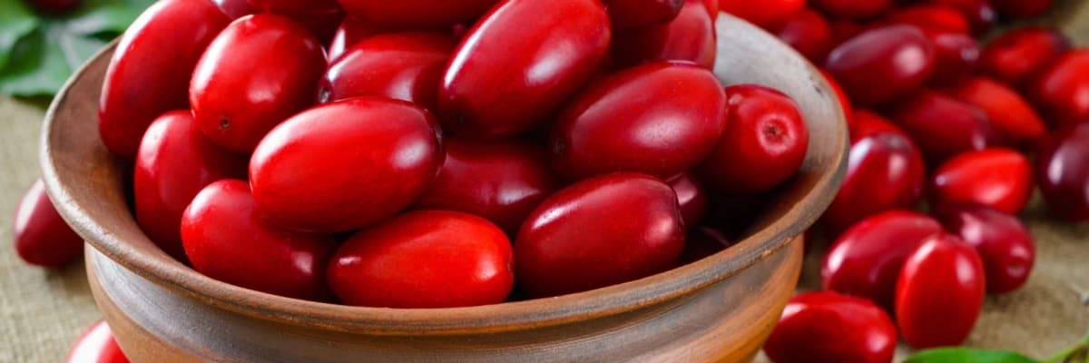 Zoğal - Təbii immunitet