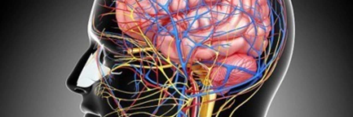 Beyin Cərrahiyyəsi