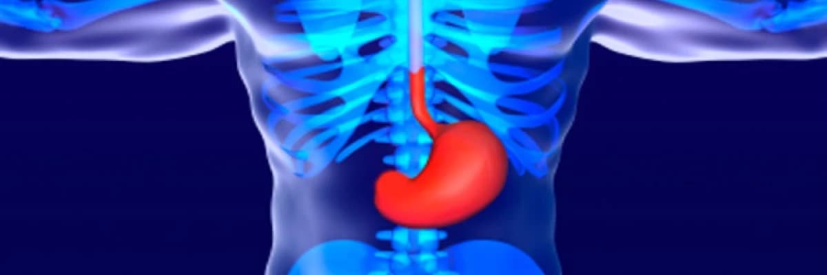 Qidalanmada Mədə-bağırsaq xəstəlikləri