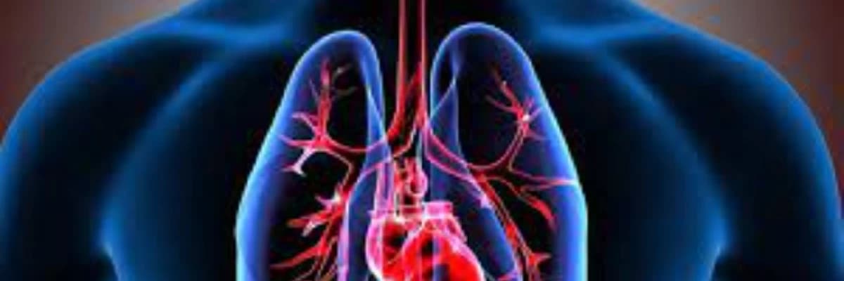 Tənəffüs sisteminin sinir-əzələ patologiyası