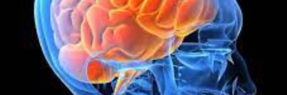 İnsult, dağınıq skleroz və Parkinson xəstəliyi də daxil olmaqla nevroloji pozğunluqlar