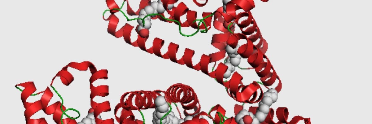 Albumin