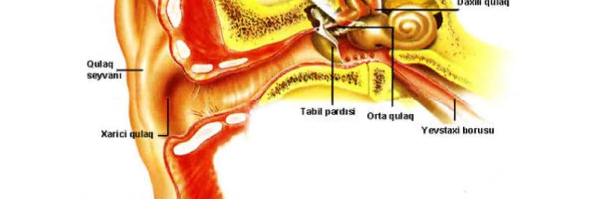 Xarici və orta qulağın travmaları