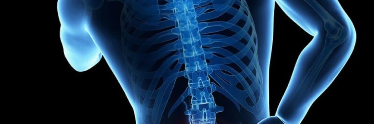 Boyun və Bel disk yırtığı əməliyyatları