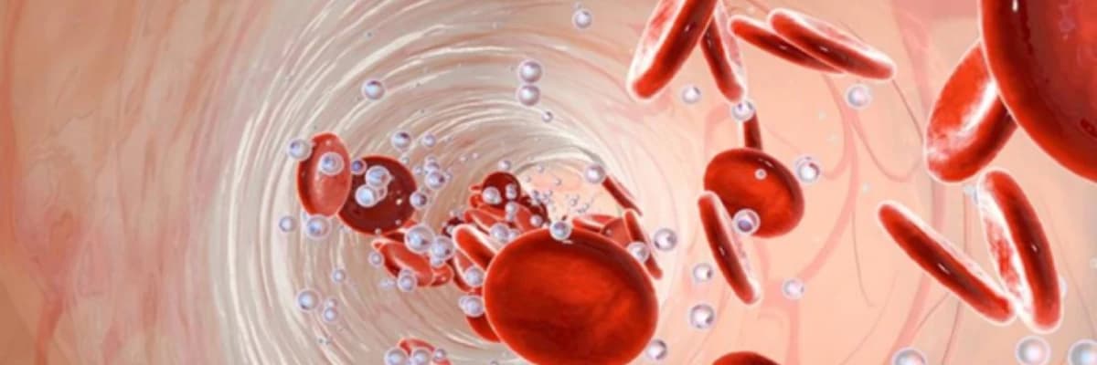 Xroniki yorğunluq sindromu