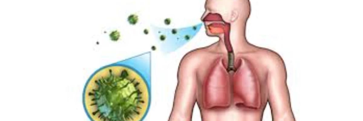 aşağı tənəffüs yollarının infeksiyaları