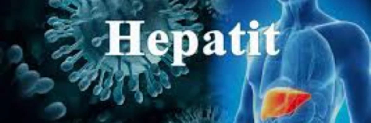 Hepatitlər (virus hepatitləri, alkolik hepatitlər və s.)