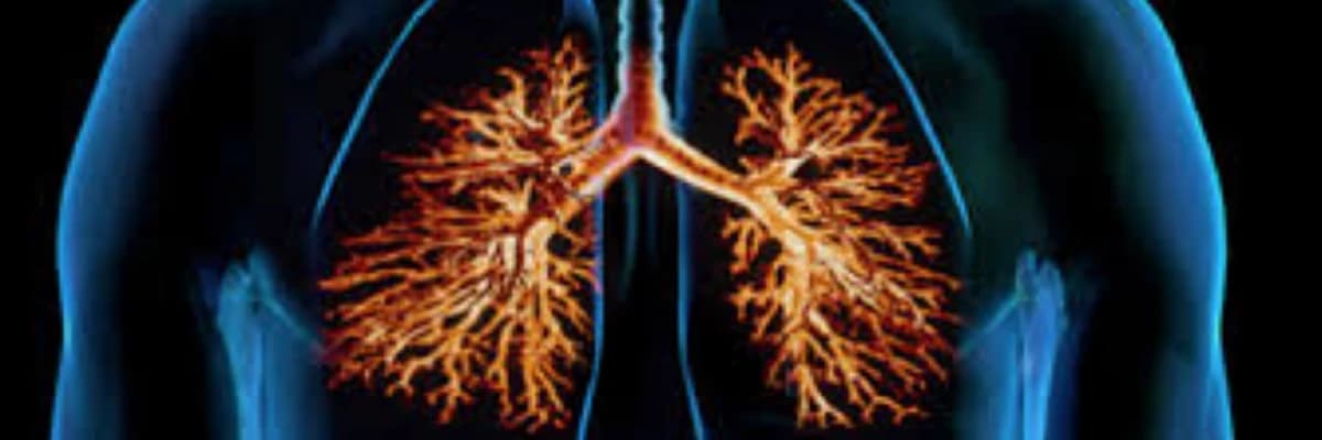 Bronxit: simptomlar, səbəblər və müalicə