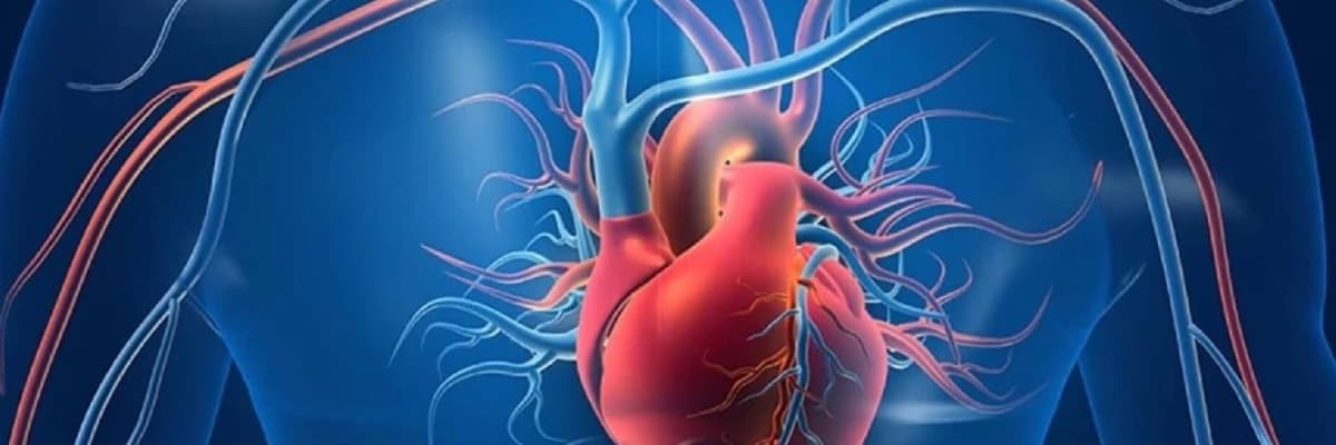 Koronar Arteriya Xəstəliyi nədir? Simptomlar və növləri