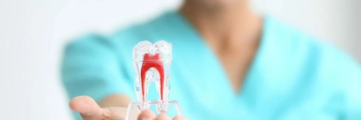 Endodontiya