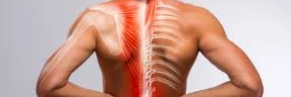 Xroniki əzələ ağrıları