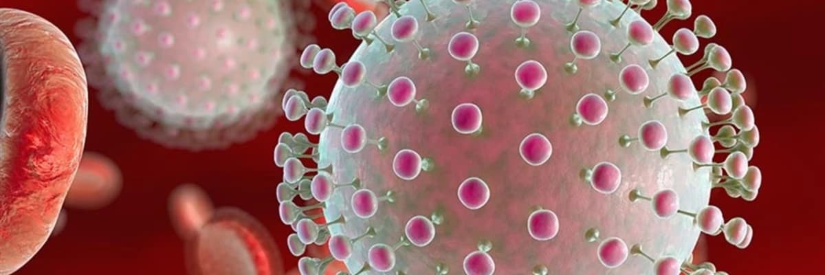 Zika virusu nədir? Semptomlar, profilaktika üsulları və müalicə variantları