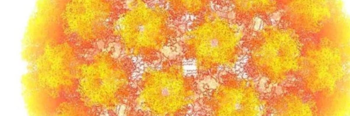 Genital herpes nədir və simptomları nələrdir? Müalicə və profilaktika üsulları