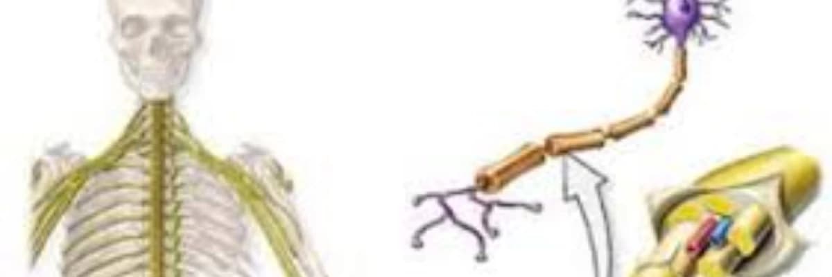 Differensial diaqnostikanın aparılması