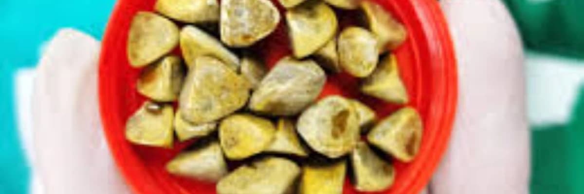Öd kisəsi daşı: Diaqnoz və Müalicə Metodları