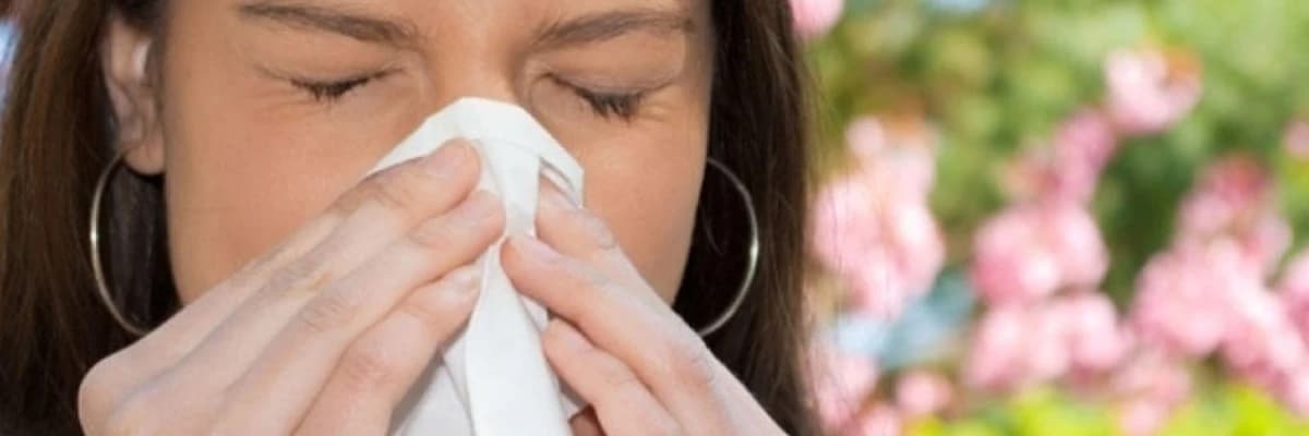 Pollinoz xəstəliyi