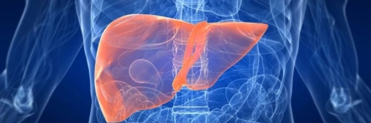 Qaraciyər Transplantasiyası: Proses, Səbəblər və Nəticələr